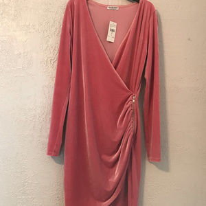 Fashion Nova Brand New Pink Velvet Dress